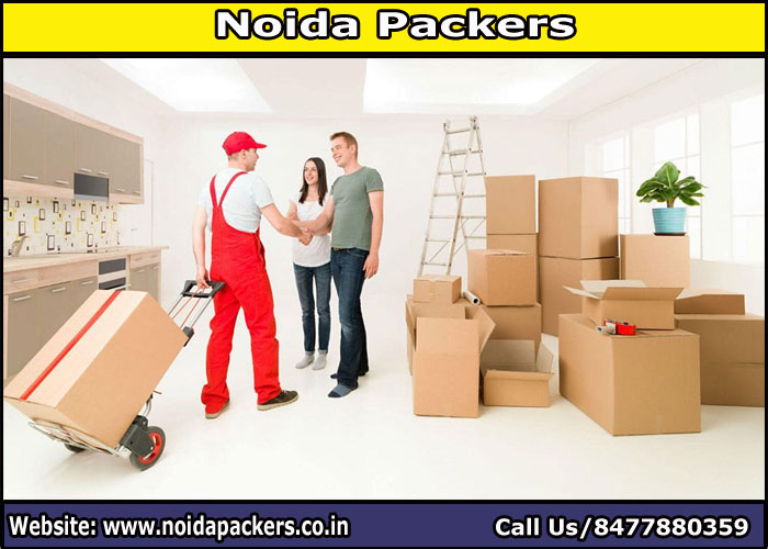 Movers and Packers Noida Sector 10