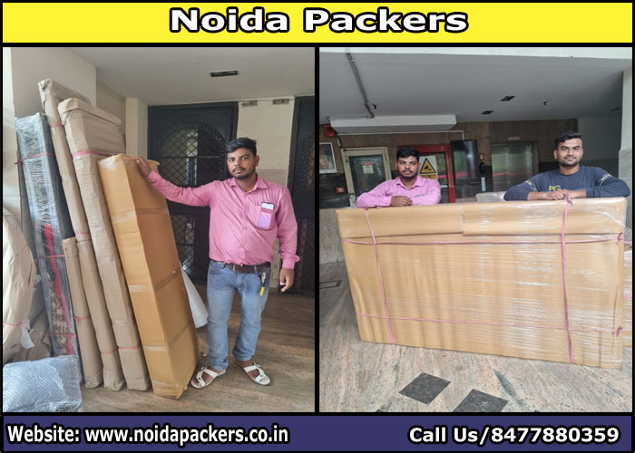 Movers and Packers Noida Sector 100