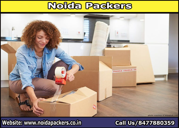 Movers and Packers Noida Sector 101