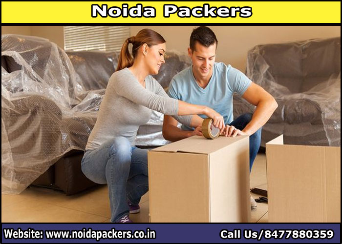 Movers and Packers Noida Sector 102