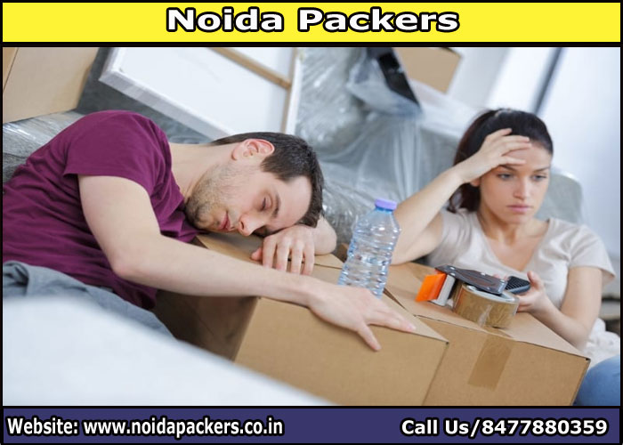 Movers and Packers Noida Sector 103