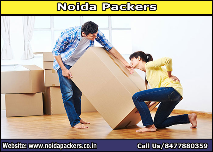 Movers and Packers Noida Sector 105