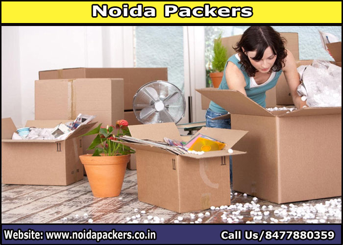 Movers and Packers Noida Sector 110