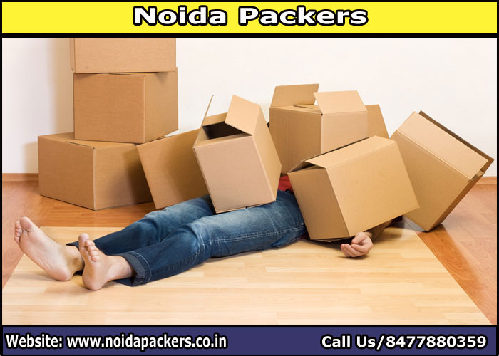 Movers and Packers Noida Sector 128