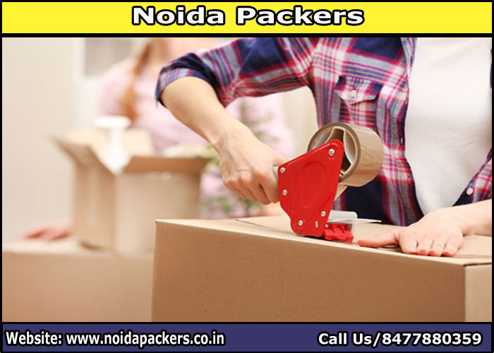 Movers and Packers Noida Sector 130