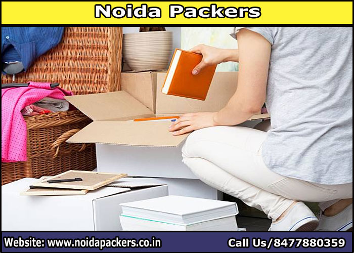 Movers and Packers Noida Sector 131