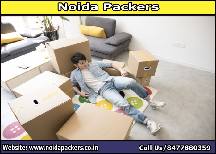 Movers and Packers Noida Sector 137