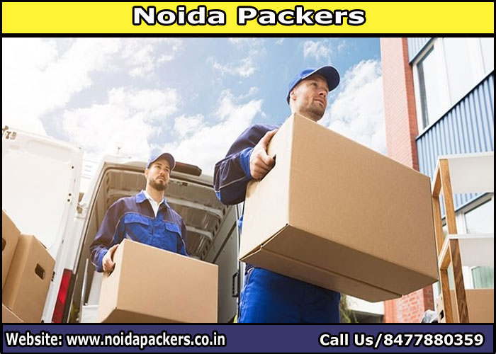 Movers and Packers Noida Sector 141