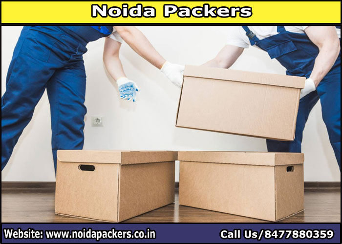 Movers and Packers Noida Sector 142