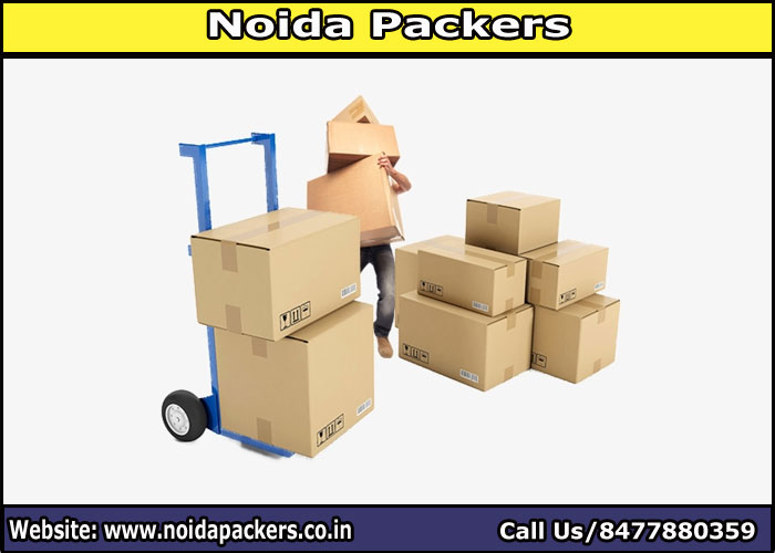 Movers and Packers Noida Sector 144