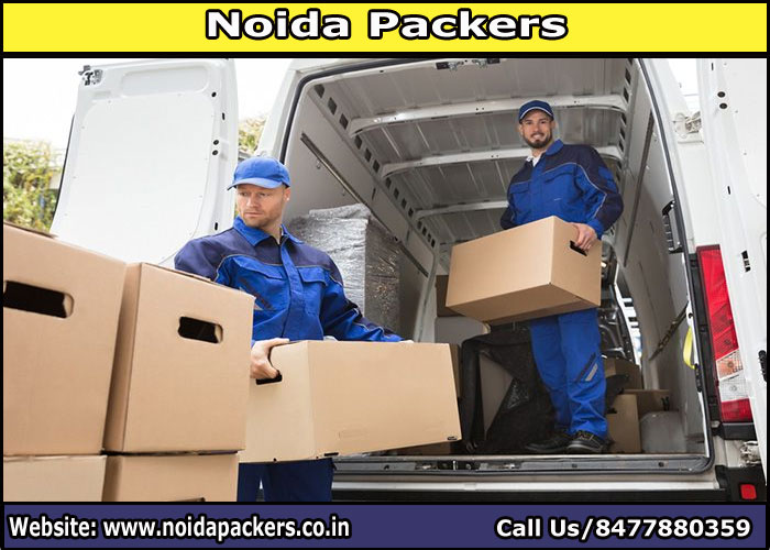 Movers and Packers Noida Sector 145
