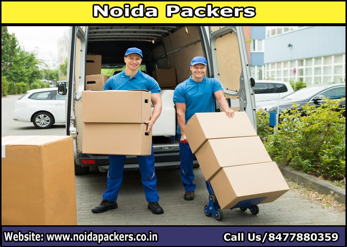 Movers and Packers Noida Sector 146
