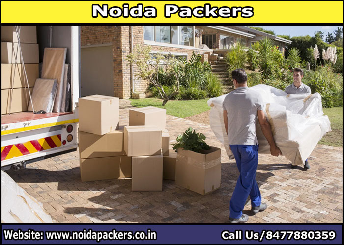 Movers and Packers Noida Sector 164