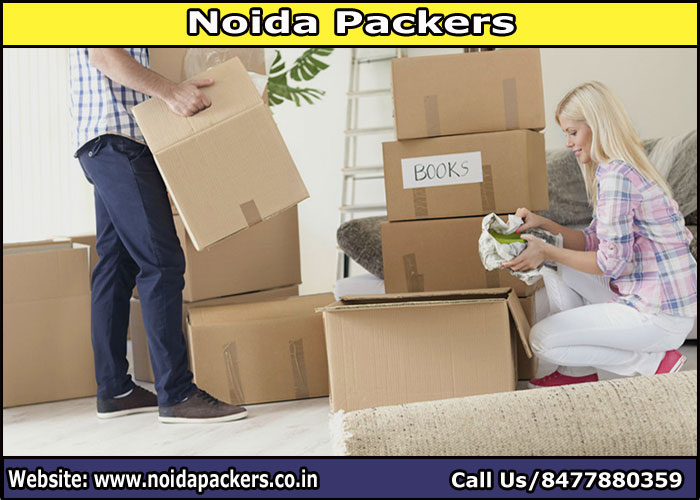 Movers and Packers Noida Sector 165