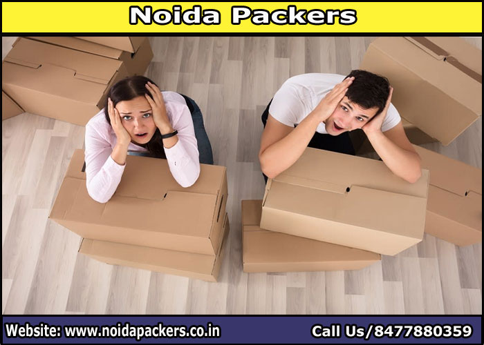 Movers and Packers Noida Sector 166
