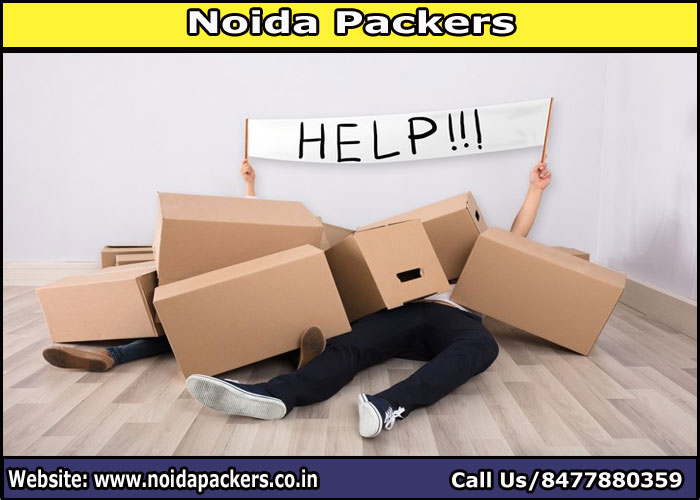 Movers and Packers Noida Sector 168