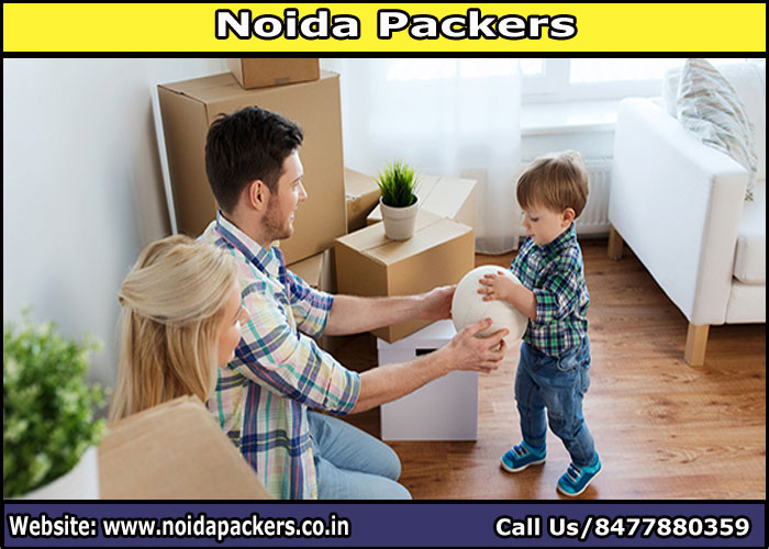 Movers and Packers Noida Sector 19