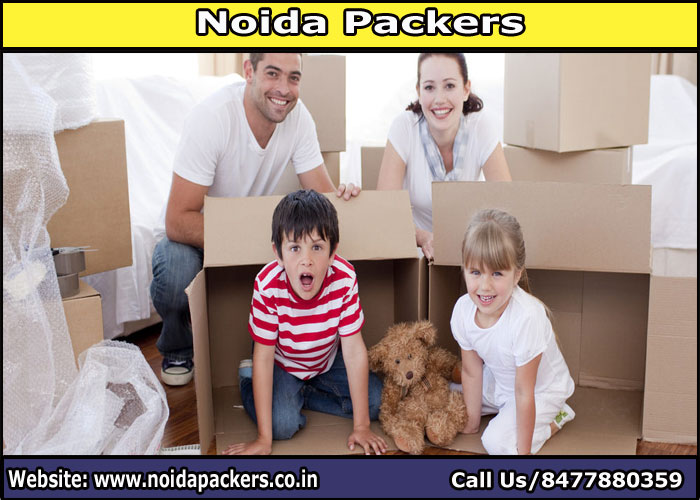 Movers and Packers Noida Sector 20