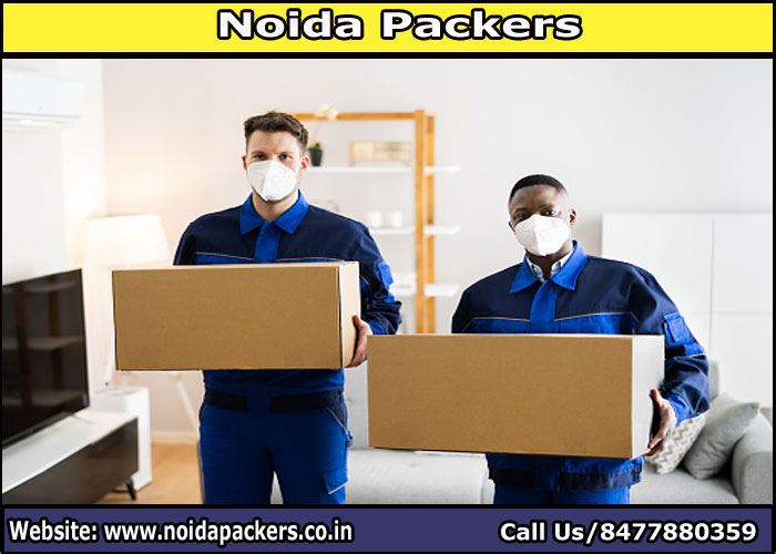 Movers and Packers Noida Sector 29