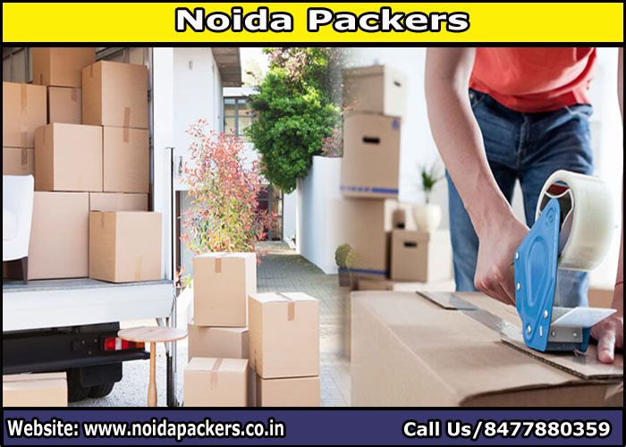 Movers and Packers Noida Sector 3