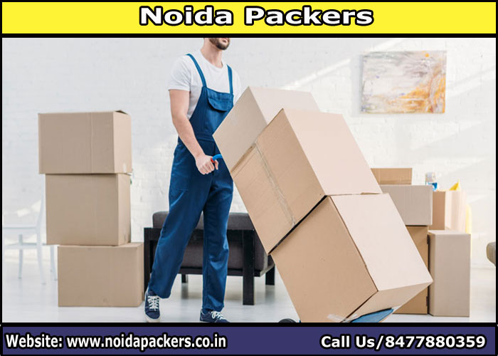 Movers and Packers Noida Sector 30