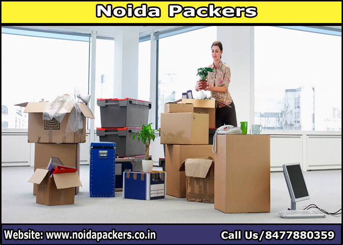 Movers and Packers Noida Sector 34