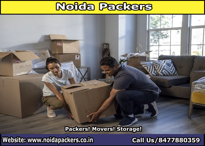 Movers and Packers Noida Sector 51
