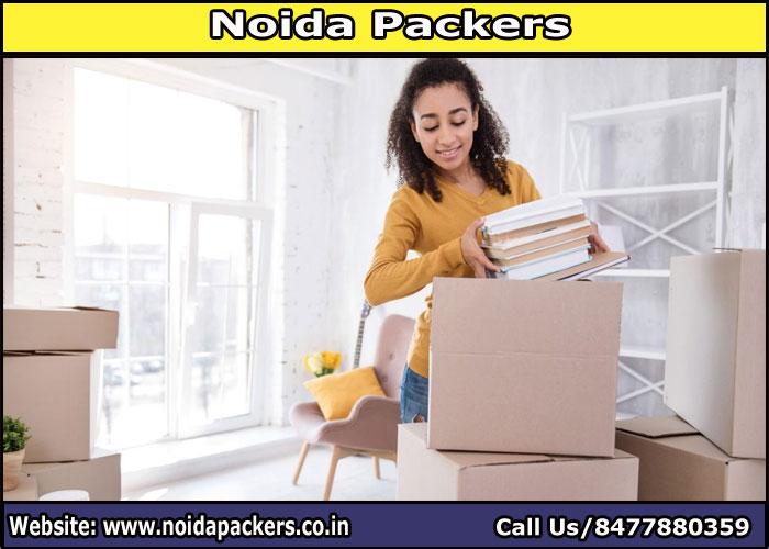Movers and Packers Noida Sector 53