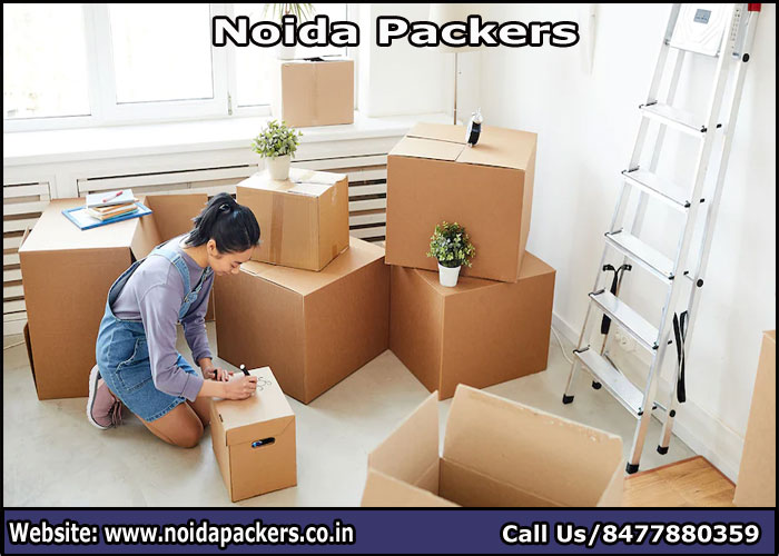 Movers and Packers Noida Sector 58