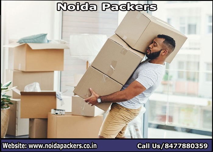 Movers and Packers Noida Sector 59