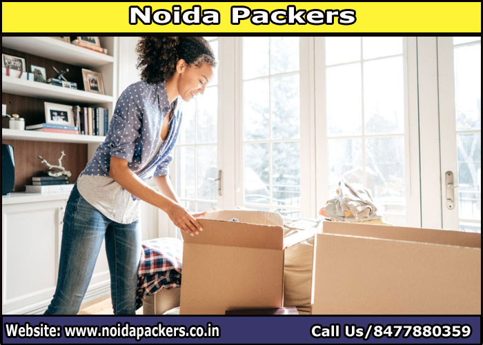 Movers and Packers Noida Sector 60