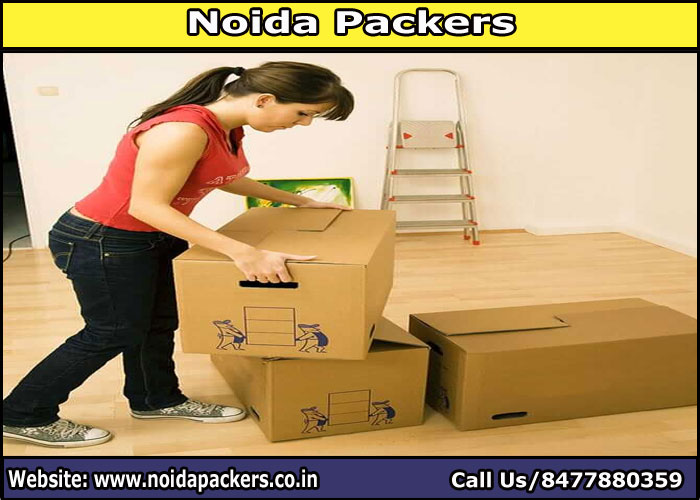 Movers and Packers Noida Sector 61