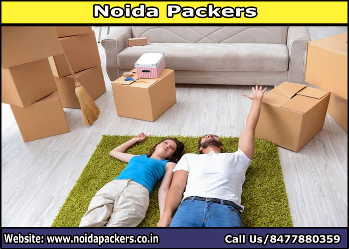 Movers and Packers Noida Sector 64