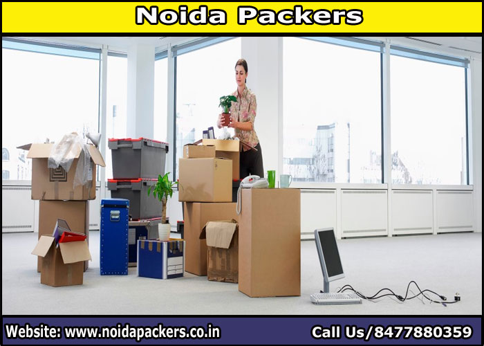 Movers and Packers Noida Sector 7