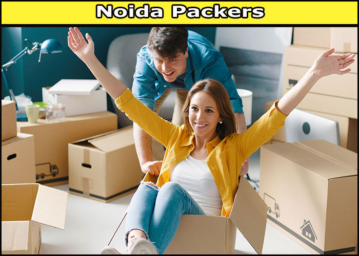Movers and Packers Noida Sector 79