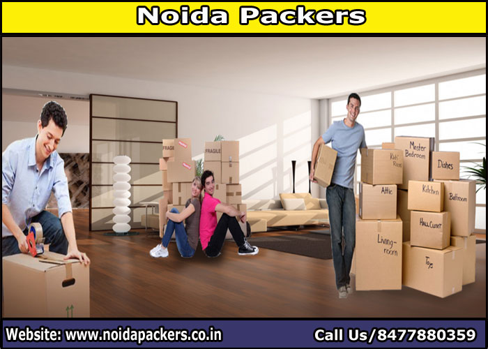 Movers and Packers Noida Sector 8