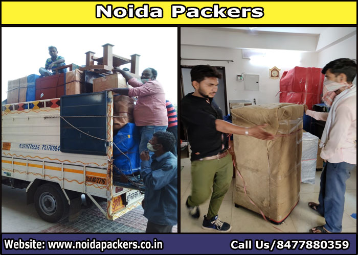 Movers and Packers Noida Sector 81