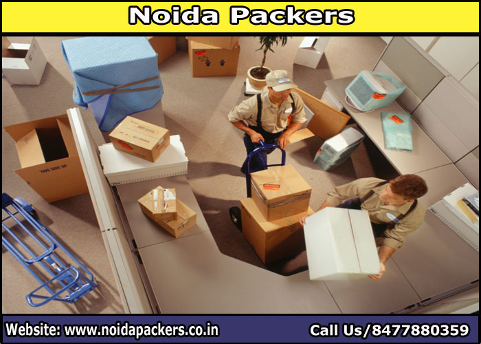 Movers and Packers Noida Sector 87