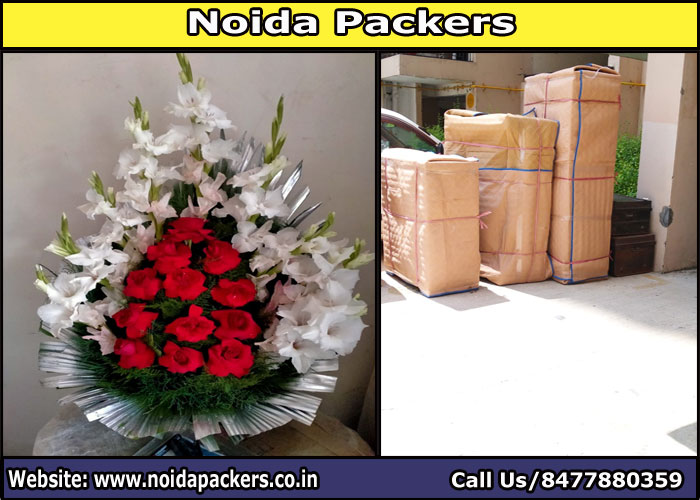 Movers and Packers Noida Sector 92